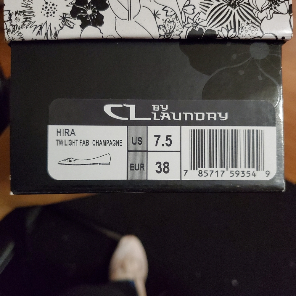 Chinese Laundry - Picture 2 of 6